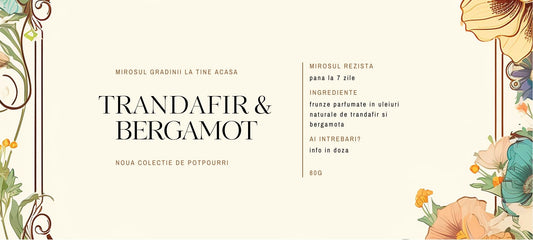 Doza de marketing | Potpourri | invitatie